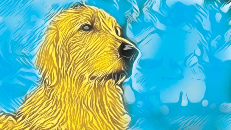 Waggy Tail Books